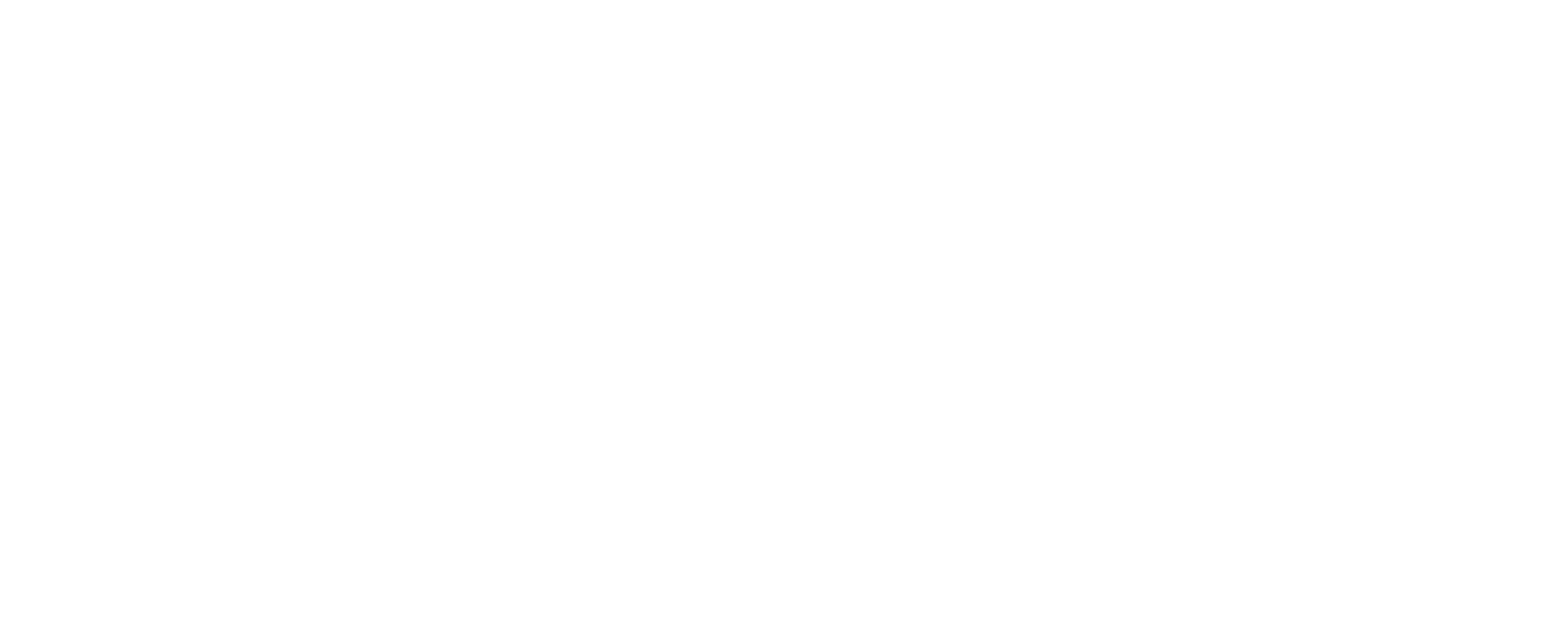 Logo til No Worries Lervig